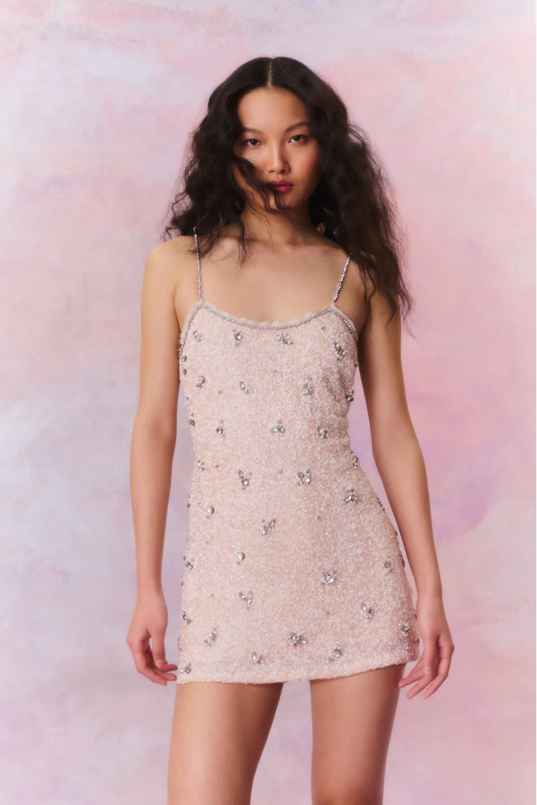 Windson Embellished Mini Dress - Store Citys