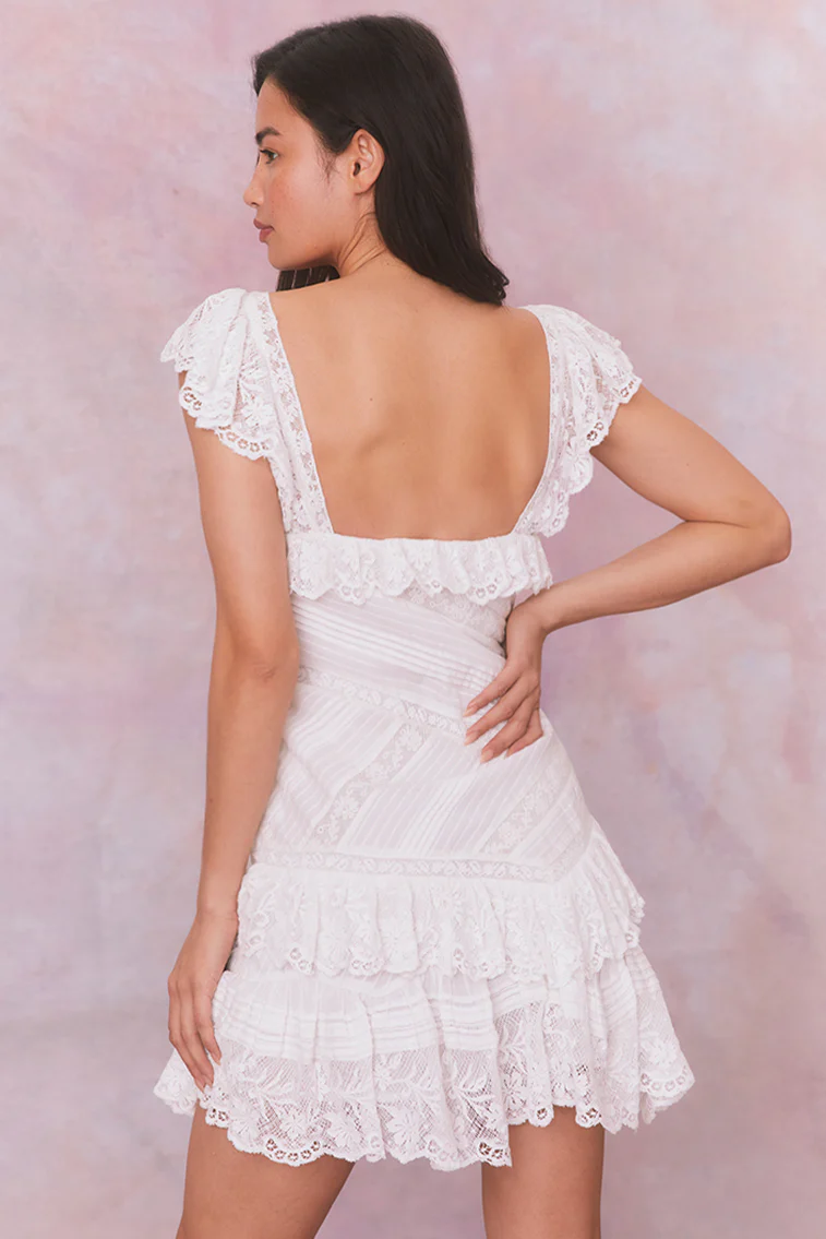 Bensley Fitted Lace Mini Dress - Store Citys